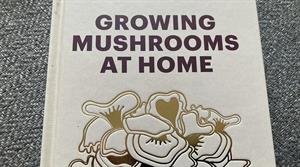 Growing Mushrooms at Home